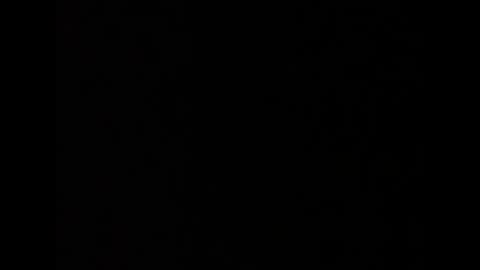 Snapshot of barbarosarslanlar chatting on September 20, 2025, 12:06 pm barbarosarslanlar online show from September 20, 2025, 12:06 pm