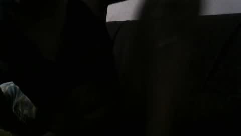 Snapshot of barcadi_luiz chatting on March 2, 2025, 12:11 pm barcadi luiz online show from March 2, 2025, 12:11 pm