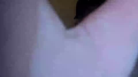 Snapshot of barniemay1 chatting on July 5, 2026, 4:41 am barniemay1 online show from July 5, 2026, 4:41 am