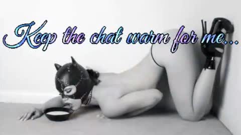 Snapshot of batmansfavoritewife chatting on July 1, 2026, 4:58 am Your always sexy Harley online show from July 1, 2026, 4:58 am