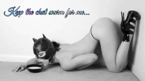 Snapshot of batmansfavoritewife chatting on July 5, 2026, 7:15 am Your always sexy Harley online show from July 5, 2026, 7:15 am