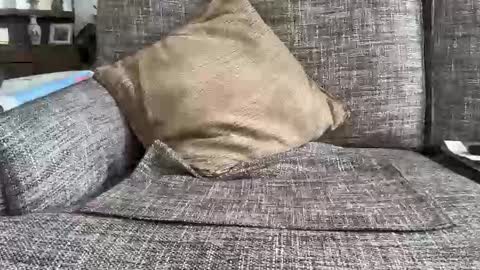 baykiwi54 online show from February 11, 2026, 10:26 pm