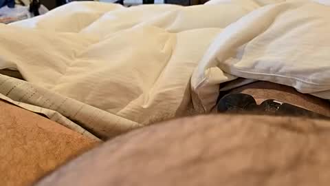 bbjj1970 online show from November 29, 2025, 12:19 pm