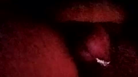 bcfalcon69 online show from January 19, 2026, 6:06 am