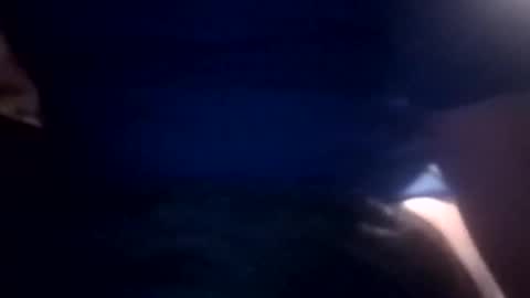 Snapshot of bcmow123 chatting on February 22, 2026, 6:24 am bcmow123 online show from February 22, 2026, 6:24 am