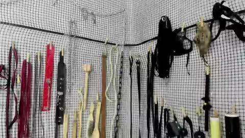 Meduza  online show from February 20, 2026, 6:26 am