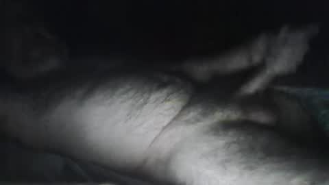 beastiejam2000 online show from January 31, 2025, 4:25 am