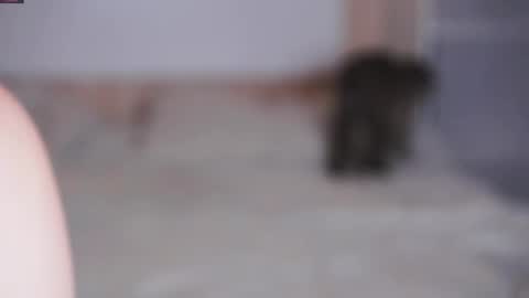 Beatrice online show from November 7, 2025, 7:25 pm