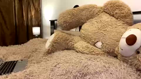 Nik online show from March 7, 2026, 7:55 pm