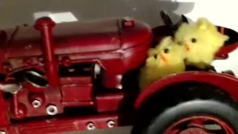 Raluca online show from September 27, 2025, 6:24 pm