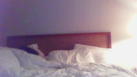 Bedbandits69 online show from February 22, 2025, 3:45 am