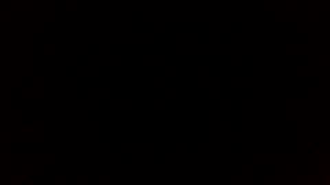 beef_sperm online show from November 29, 2025, 12:30 pm