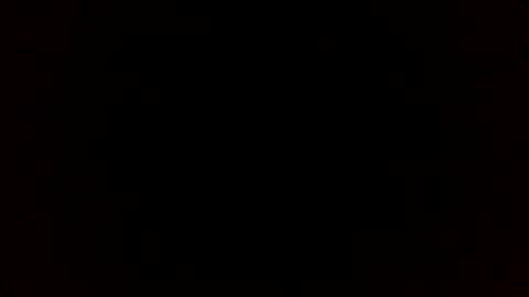 beef_sperm online show from February 14, 2026, 11:51 am