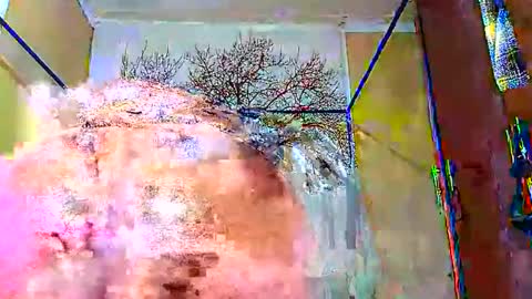 beencee2 online show from January 12, 2025, 4:10 am