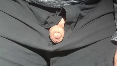  Reservoir Dogs online show from November 23, 2025, 5:02 pm