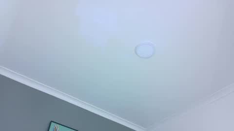 BELA online show from October 28, 2025, 11:36 am