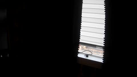 belessa4u online show from March 20, 2026, 12:48 am