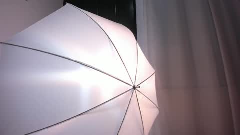 Snapshot of bellawild_ chatting on February 12, 2026, 12:00 pm Bella Wild online show from February 12, 2026, 12:00 pm