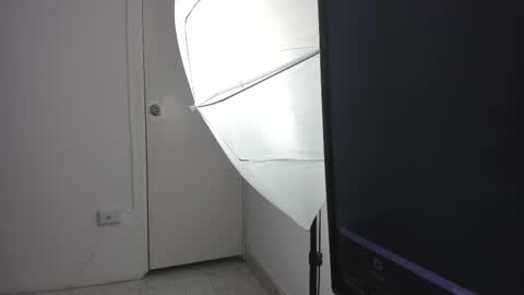 Snapshot of bellawild_ chatting on February 24, 2026, 12:14 pm Bella Wild online show from February 24, 2026, 12:14 pm