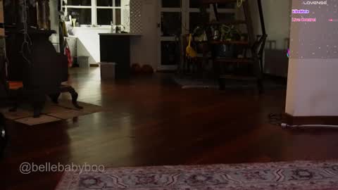 BELLE   online show from February 15, 2026, 1:09 pm