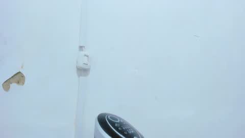 Snapshot of bellota_flak chatting on December 14, 2024, 4:56 am Bellota Flak online show from December 14, 2024, 4:56 am