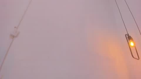 Snapshot of bellota_flak chatting on December 28, 2024, 8:26 am Bellota Flak online show from December 28, 2024, 8:26 am