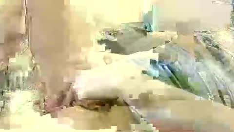 Snapshot of benutzmich0800 chatting on December 8, 2024, 11:19 pm Benutzmich0800 online show from December 8, 2024, 11:19 pm