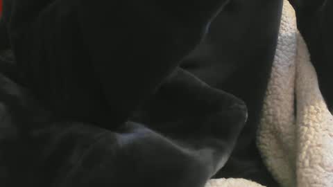 benx12123 online show from February 16, 2025, 6:21 pm