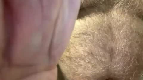 benz10001 online show from April 14, 2026, 3:01 am