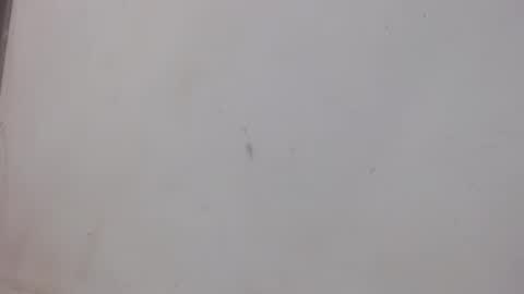 Snapshot of bergon30 chatting on February 1, 2025, 1:02 am Bergon77 online show from February 1, 2025, 1:02 am