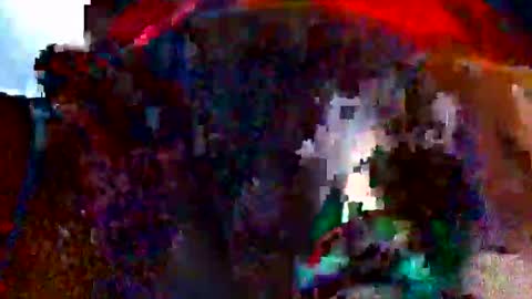 Bethany Wilson online show from February 14, 2026, 11:40 am