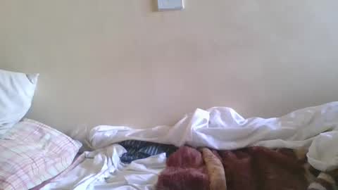 big_cockk_daddy online show from April 15, 2026, 7:37 am