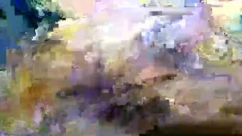 bigboybigbutt69 online show from November 8, 2025, 12:05 pm