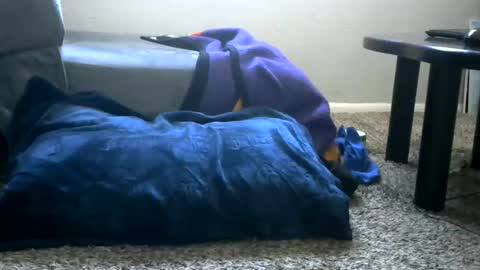 Snapshot of bigboybigbutt69 chatting on May 25, 2026, 11:00 pm bigboybigbutt69 online show from May 25, 2026, 11:00 pm