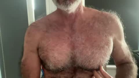 Snapshot of bigbush1 chatting on June 19, 2026, 12:04 am big bush online show from June 19, 2026, 12:04 am