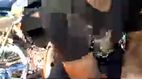 bigcok4you6969 online show from June 15, 2026, 8:44 pm