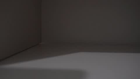 Frenchy bigD online show from April 26, 2026, 11:13 pm