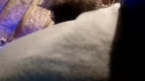 Snapshot of bigdaddy1231995 chatting on November 13, 2025, 9:41 am BigDaddykodack online show from November 13, 2025, 9:41 am