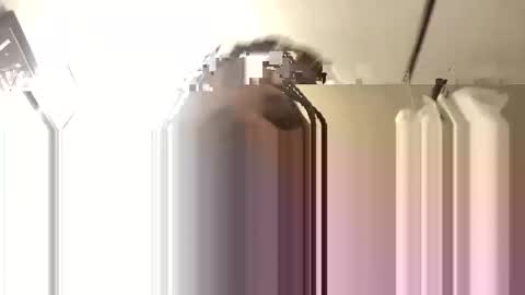 Big Daddy 1988 S online show from November 3, 2025, 6:14 am