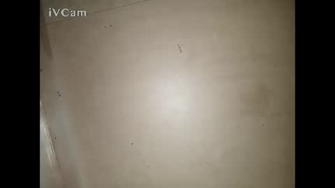 Big online show from March 13, 2026, 3:29 pm