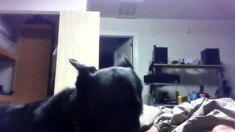 Snapshot of bigdickdaddy7201979564868 chatting on June 19, 2026, 6:40 am bigdickdaddy7201979564868 online show from June 19, 2026, 6:40 am