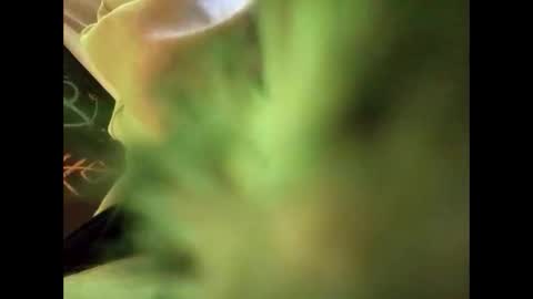 Snapshot of bigdickguy69690 chatting on February 22, 2025, 1:11 am bigdickguy69690 online show from February 22, 2025, 1:11 am