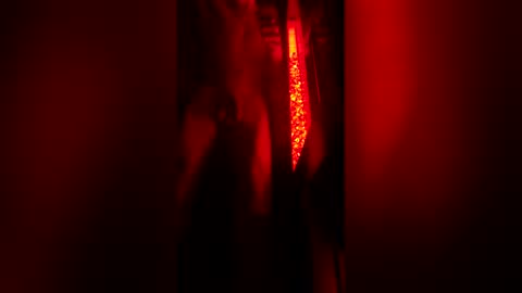 bigdickpapishampoo online show from December 23, 2025, 8:12 am