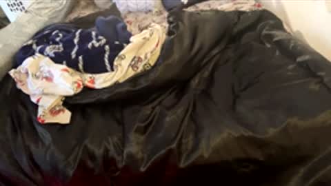 bigdickpapishampoo online show from February 7, 2026, 6:44 pm