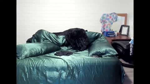 Snapshot of bigdickpiercedtattoos chatting on October 22, 2025, 10:15 am bigdickpiercedtattoos online show from October 22, 2025, 10:15 am