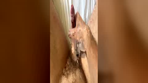 bigdickplaya_ online show from June 23, 2026, 12:14 pm