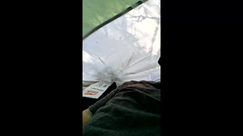 Snapshot of bigdicktatteddaddy chatting on April 4, 2026, 2:03 pm bigdicktatteddaddy online show from April 4, 2026, 2:03 pm