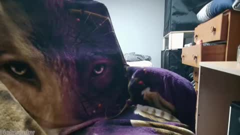 George Forest Dickyduby on all Socials online show from November 12, 2025, 2:01 am