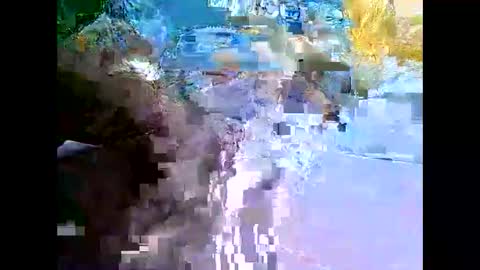 Snapshot of bigfatarabzobrr1994__ chatting on December 11, 2024, 2:41 am Mr Alpha online show from December 11, 2024, 2:41 am