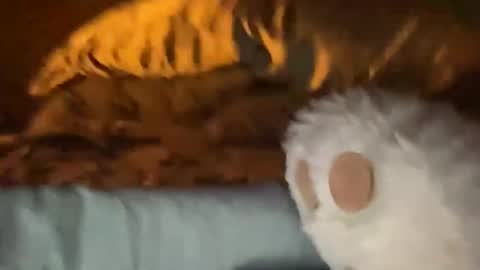 biggahhdihhh online show from April 9, 2026, 9:26 am